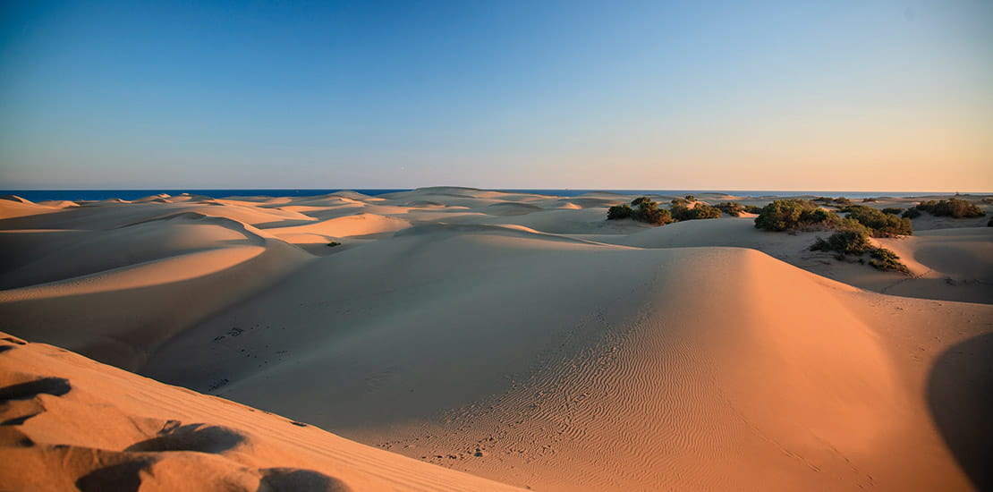 The sand dunes of  Maspalomas in Gran Canaria, Canary Islands